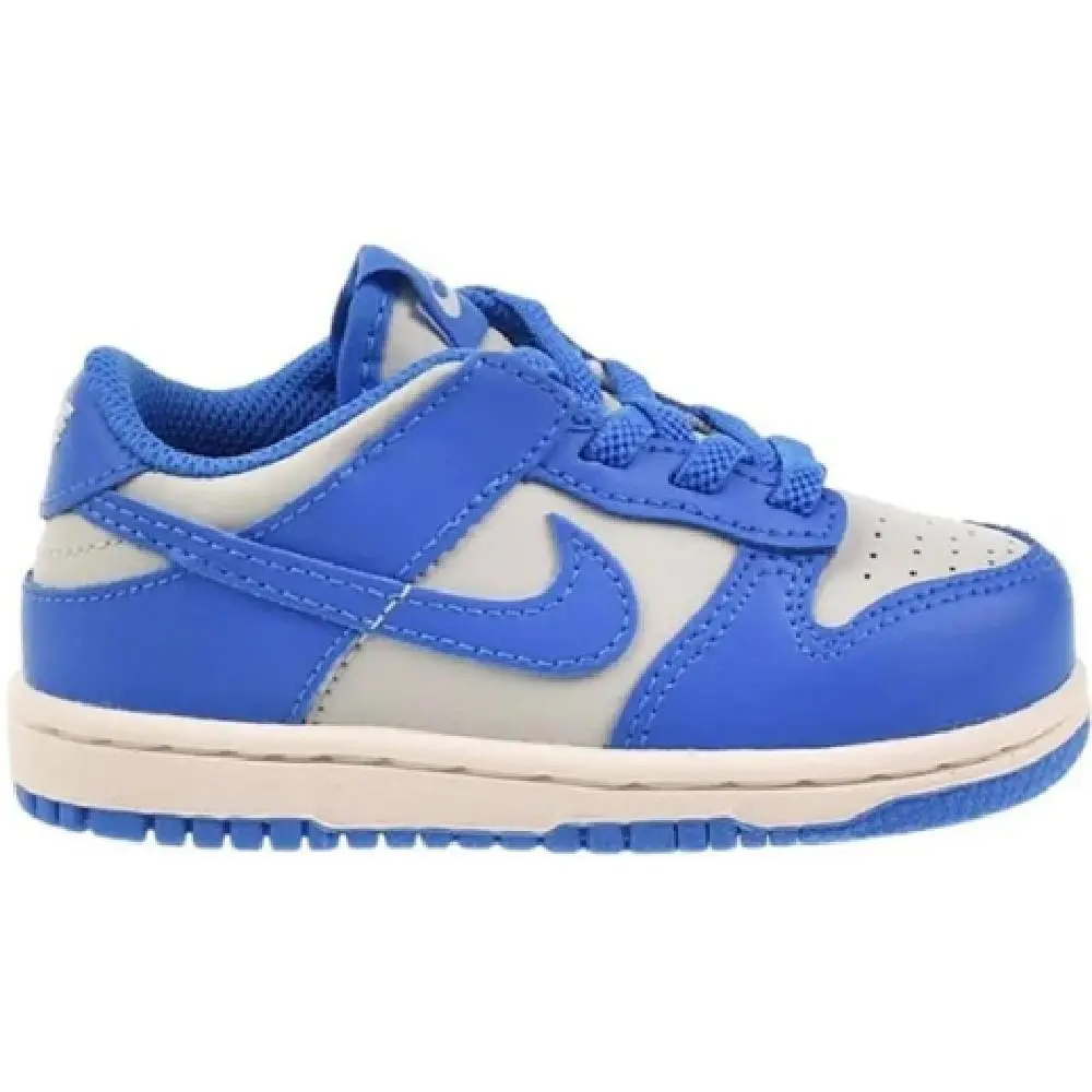 Toddler`s Nike Dunk Low Light Silver/lt Photo Blue FB9107 004 - 6