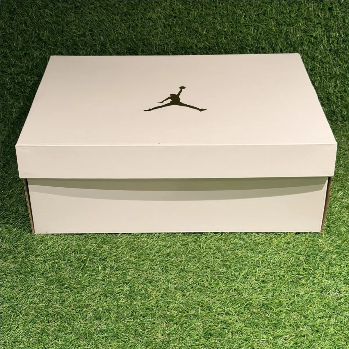 Nike shoes - Air Jordan 4 - Air - DQ4909-100 - Sail White 9