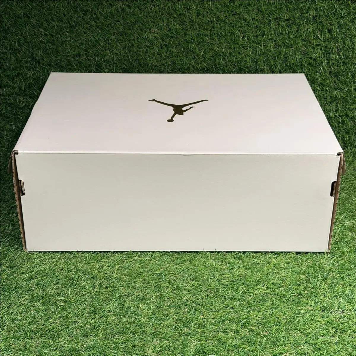 Nike shoes - Air Jordan 4 - Air - DQ4909-100 - Sail White 11