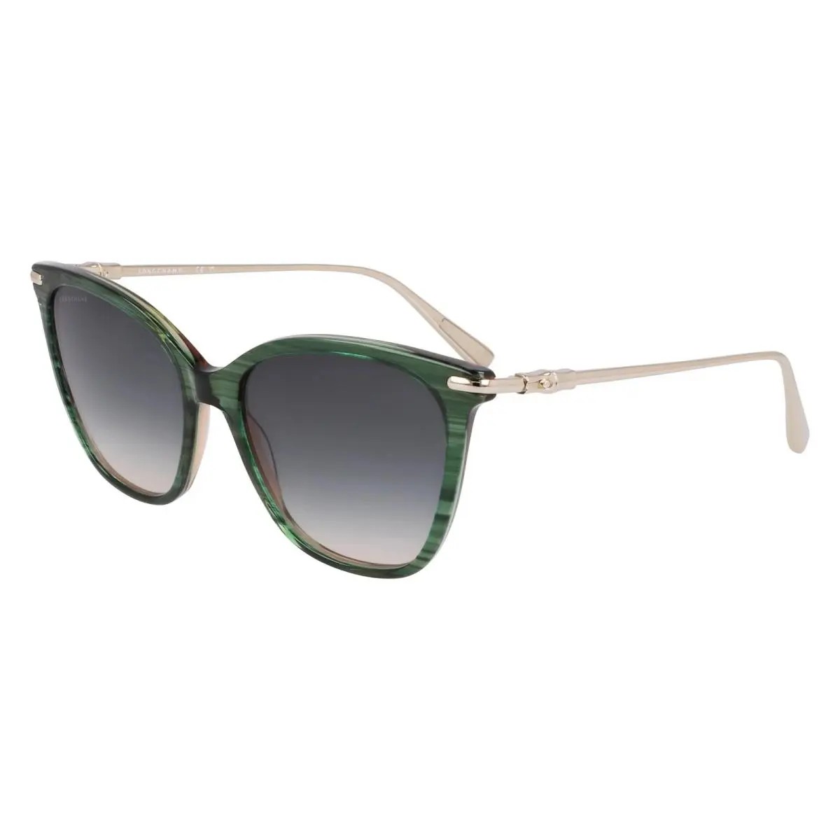LO757SN 308 Striped Green Sunglasses with Green Gradient Lenses by Longchamp