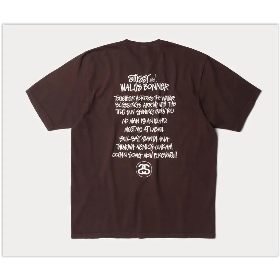 Stussy  clothing - Brown (UPC: 195292805041) 4