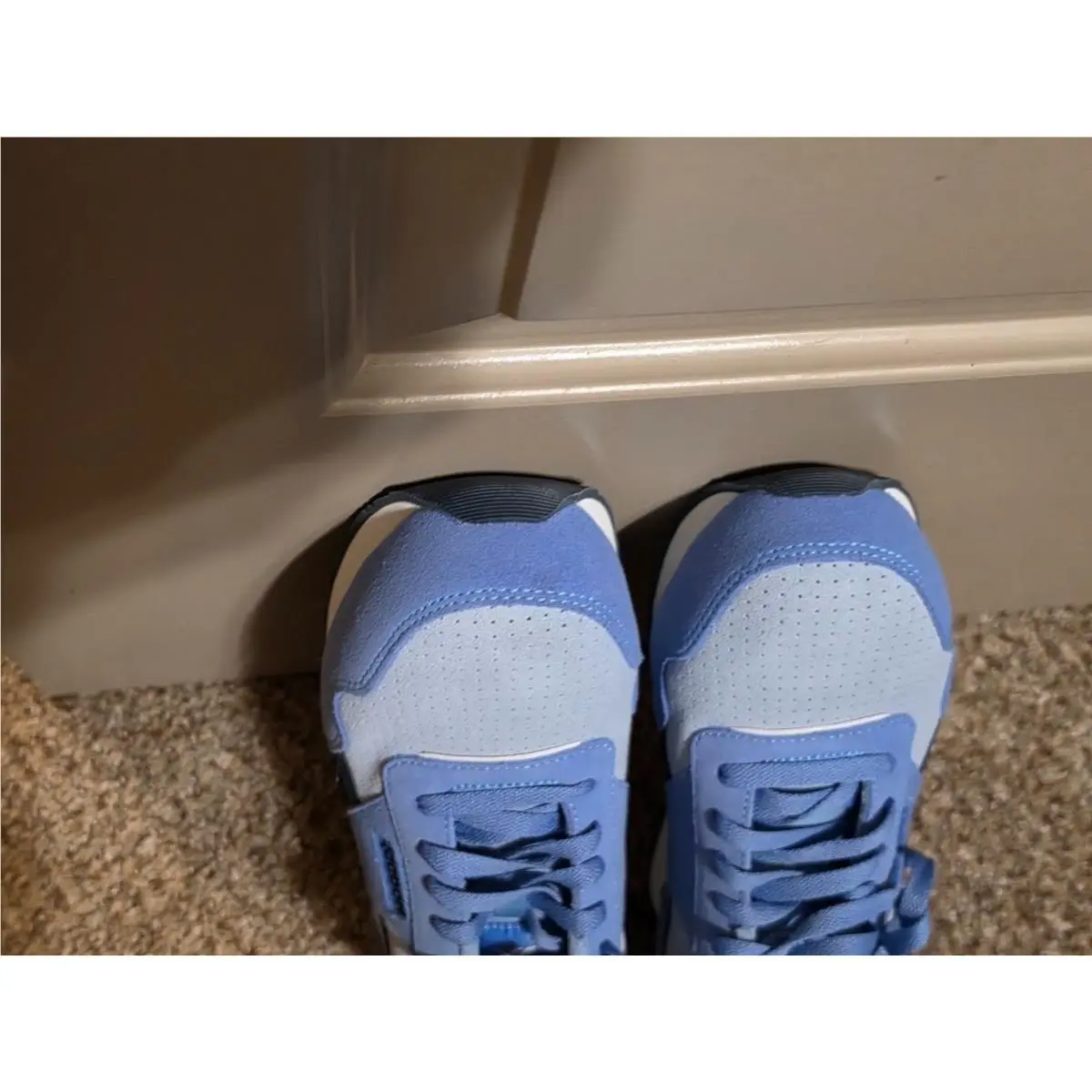Reebok shoes - Reebok Work - Work - Blue 5