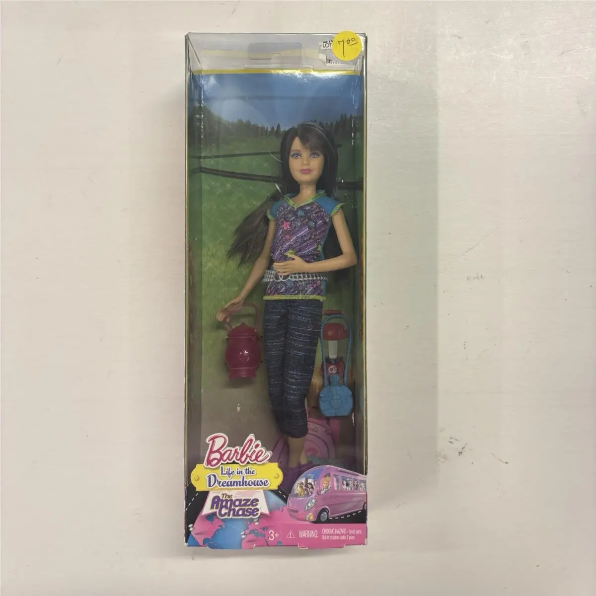 Barbie Life In The Dream House The Amaze Chase Camping Skipper Doll Nrfb