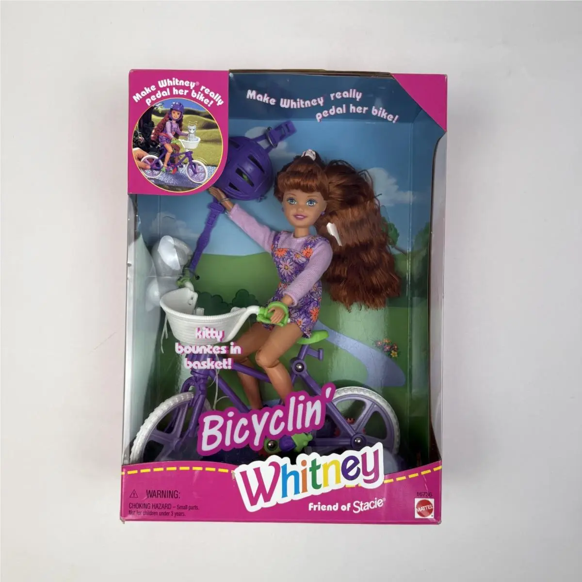 Mattel Barbie Bicyclin` Whitney Friend Of Stacy Toy Doll