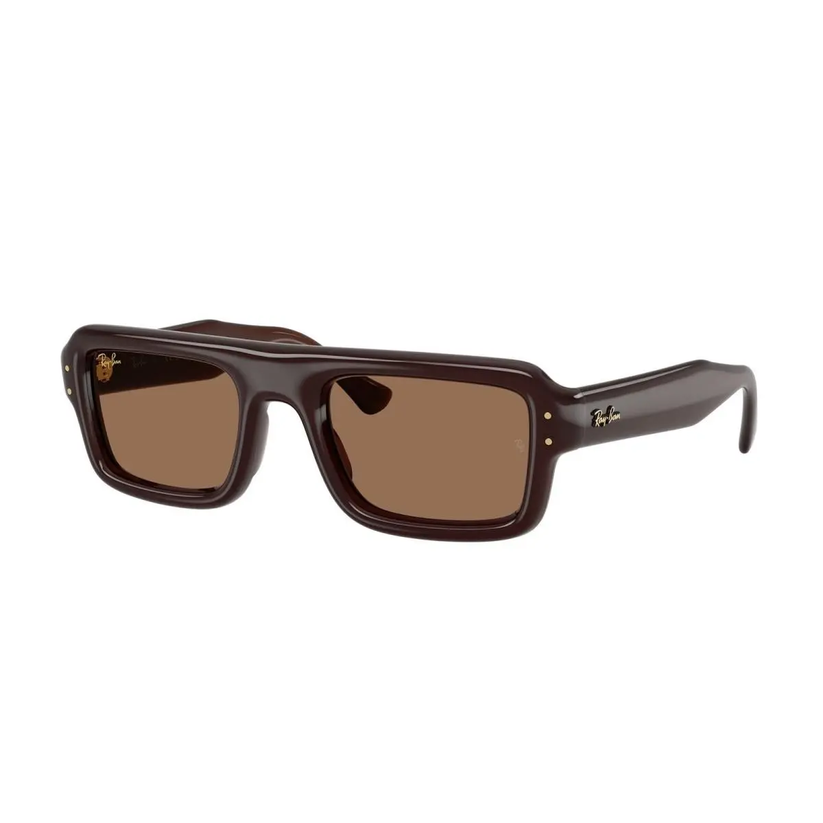Ray-ban RB 4954 Transparent Dark Brown / Pa Bio 689673 Size 52 Sunglasses