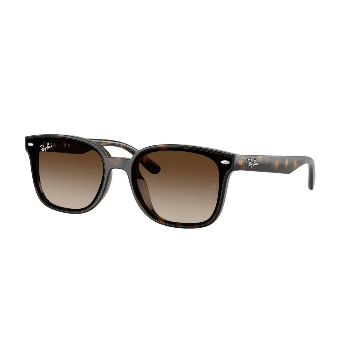 Ray-ban RB 4461 D Havana / Gradient Brown 710/13 Size 64 Sunglasses