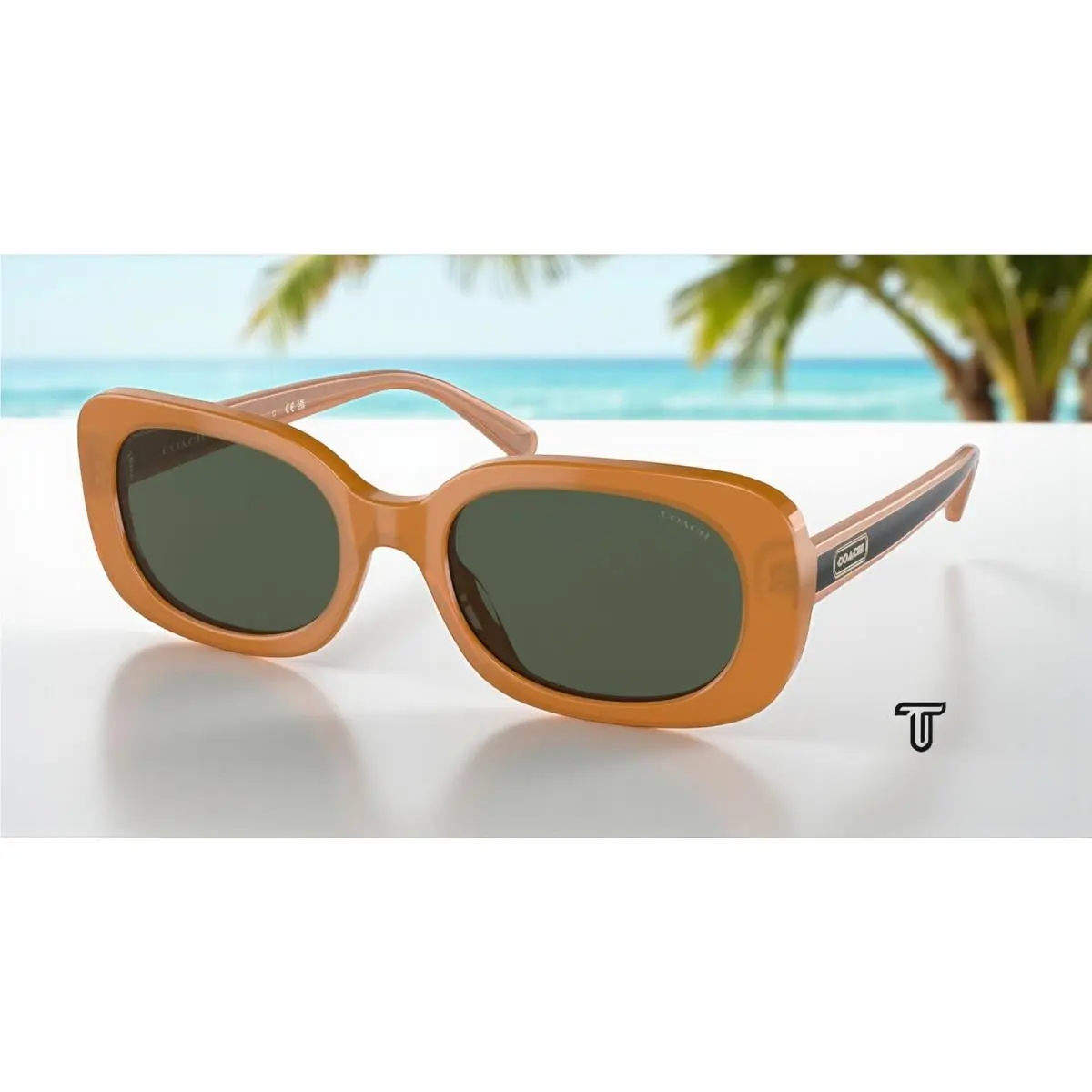 Coach HC8358F 571282 Milky Amber Green Solid 56 mm Women`s Sunglasses