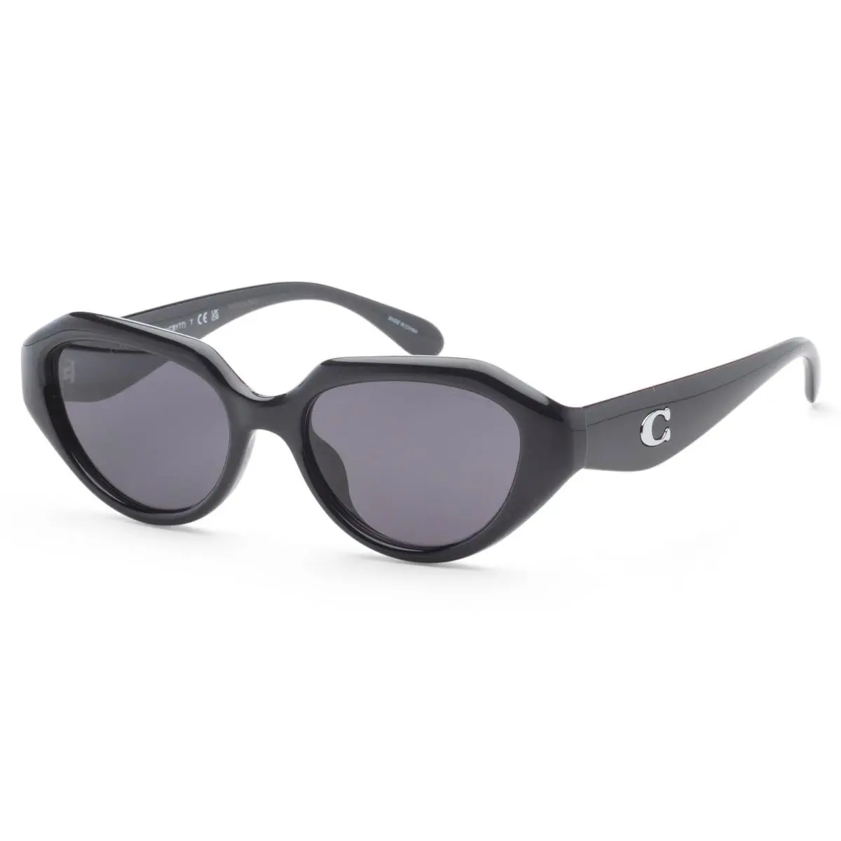 Coach Women`s 52mm Black Sunglasses HC8433U-500287-52