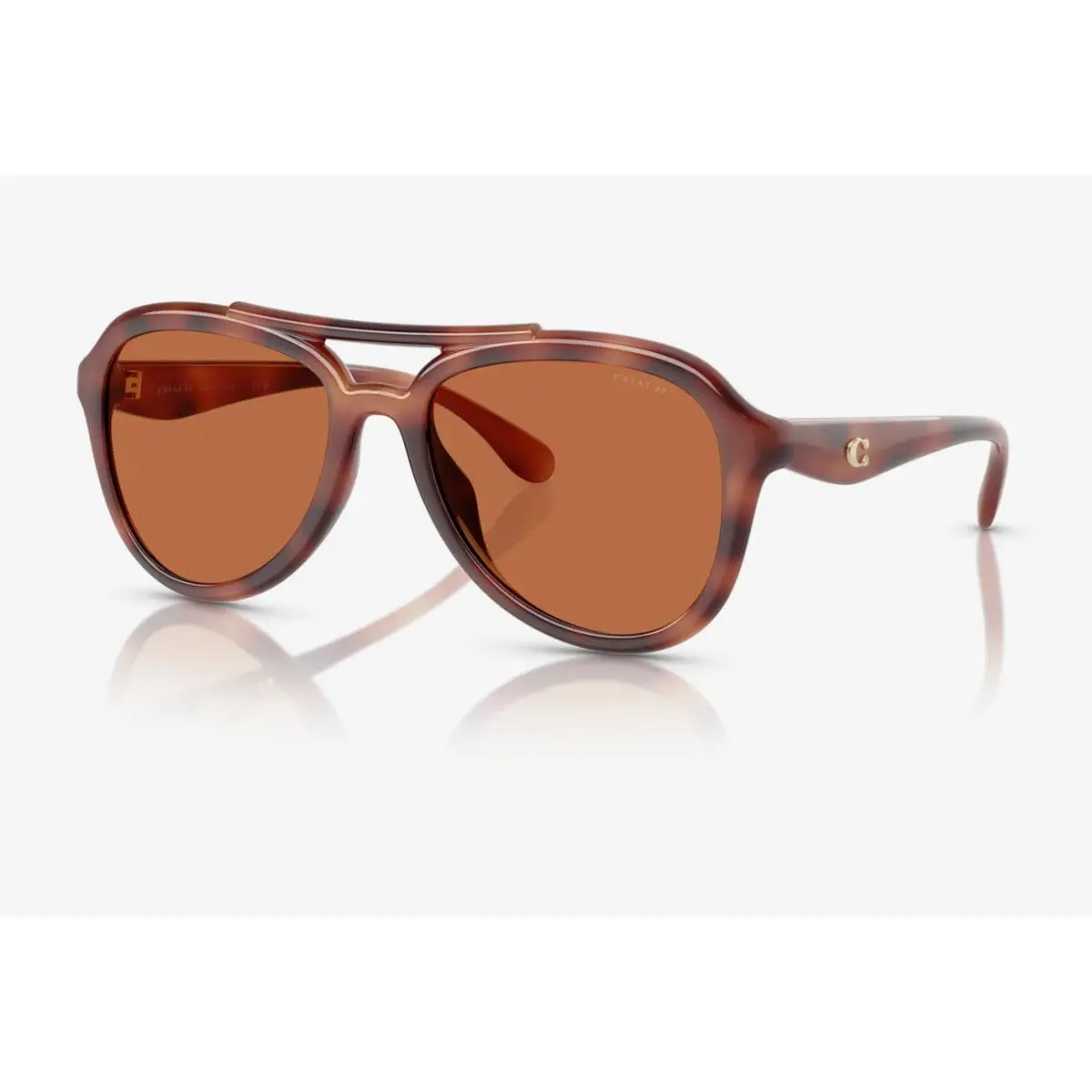Sunglasses HC8406U 577473 55 Havana Brown Frame Brown Lens by Coach