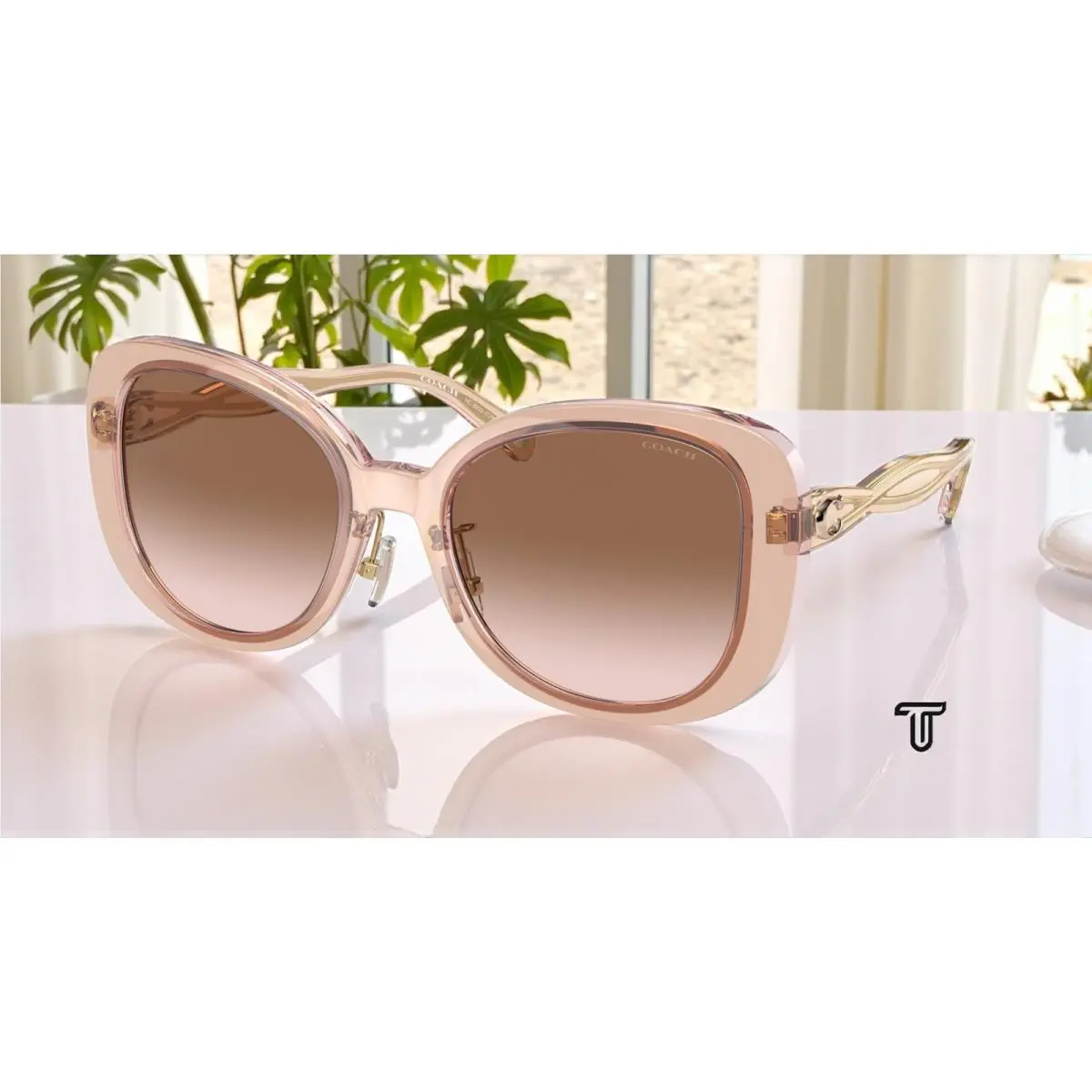 Coach HC8333 568013 C7995 Transparent Blush Brown Pink Grad 53 Womens Sunglasses