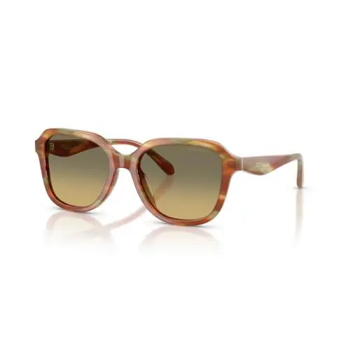Coach Women`s 53mm Striated Bark Moss Sunglasses HC8437U-5898L0-53