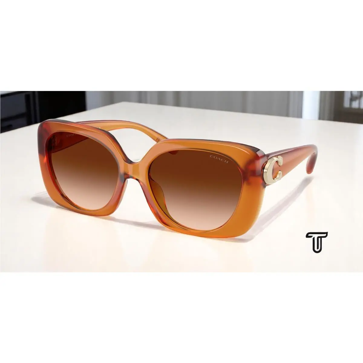 HC8422U 564774 Cad33 Milky Amber Brown Gradient 55 mm Women`s Sunglasses by Coach
