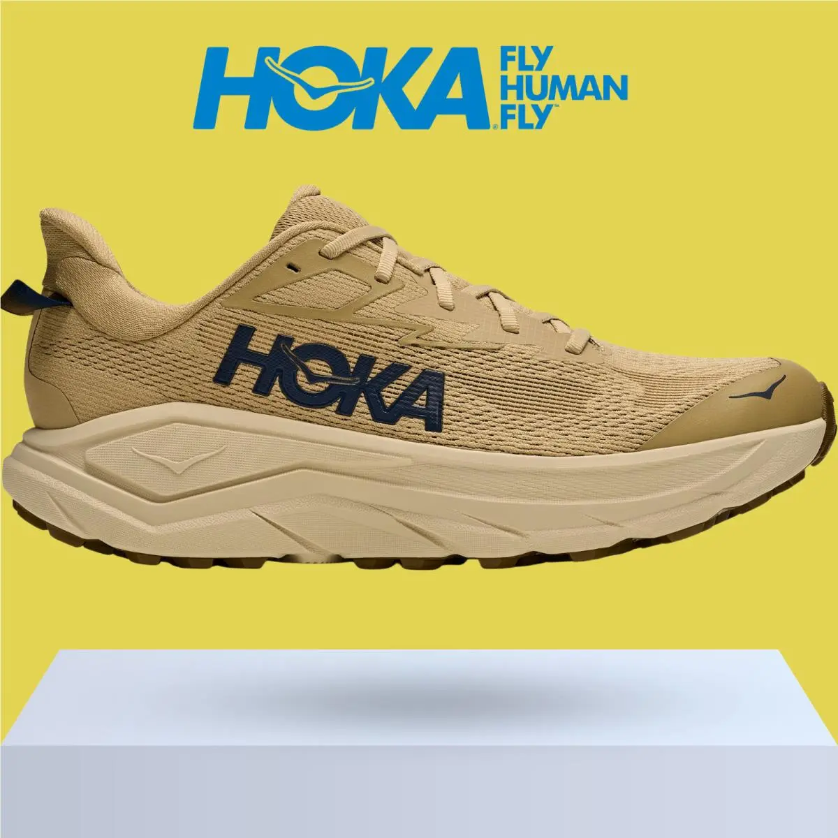 Hoka shoes - Hoka One One Challenger 8 - Black/Outer Orbit 39