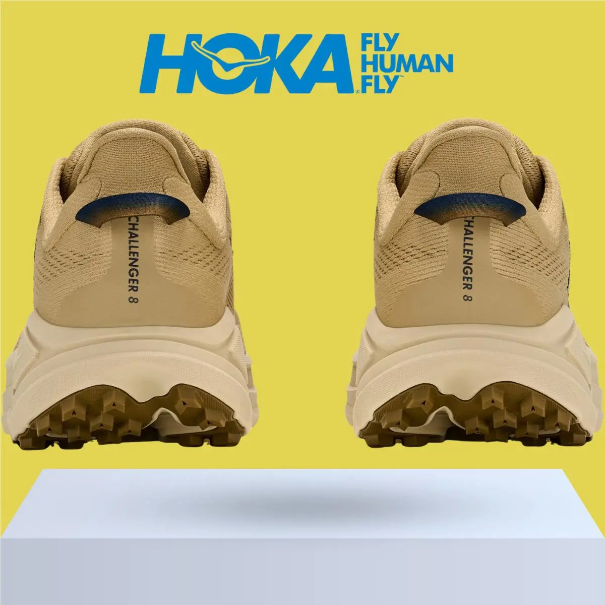 Hoka shoes - Hoka One One Challenger 8 - Black/Outer Orbit 41