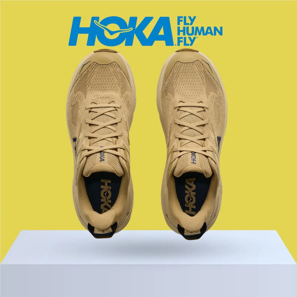 Hoka shoes - Hoka One One Challenger 8 - Black/Outer Orbit 42