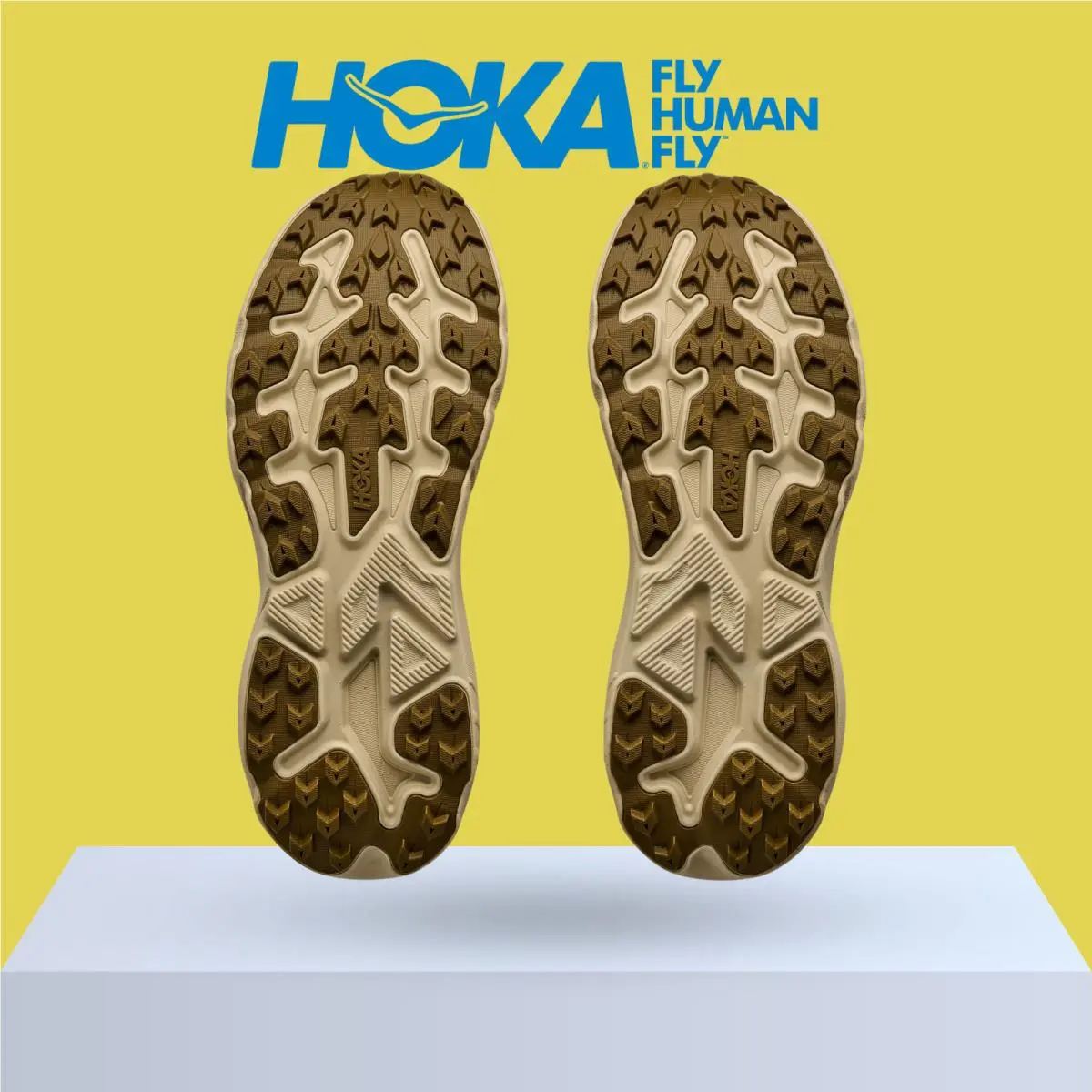 Hoka shoes - Hoka One One Challenger 8 - Black/Outer Orbit 43