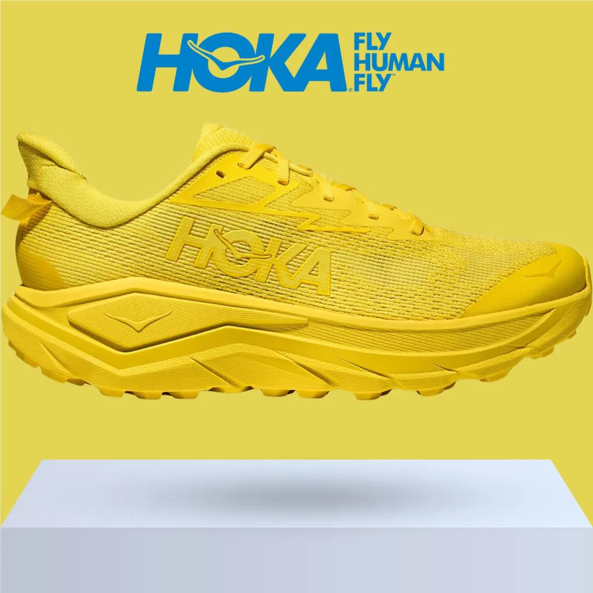 Hoka shoes - Hoka One One Challenger 8 - Black/Outer Orbit 34