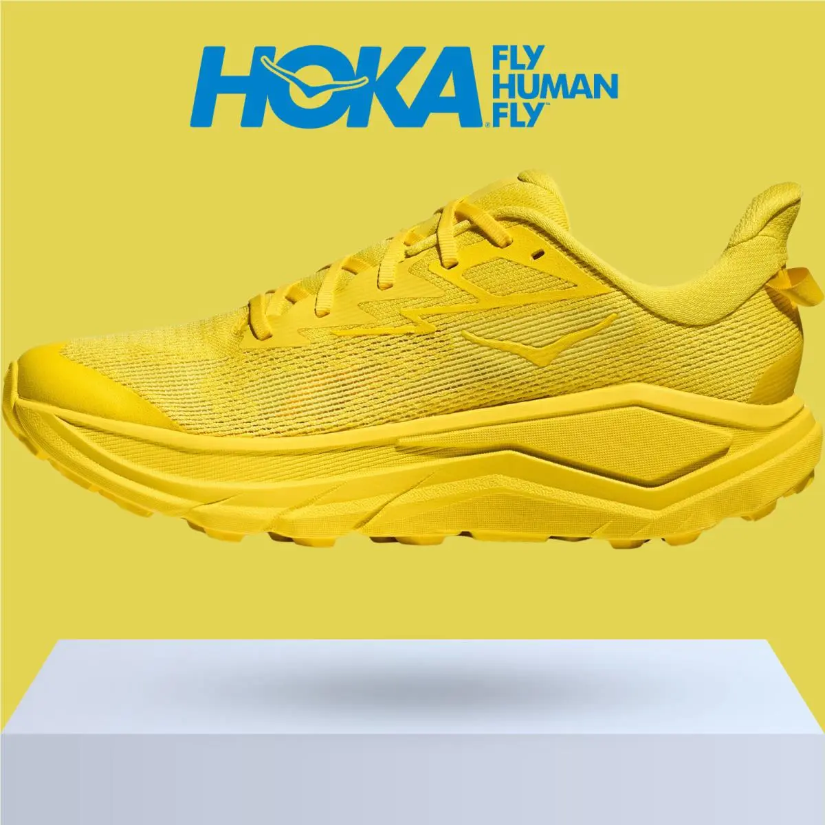 Hoka shoes - Hoka One One Challenger 8 - Black/Outer Orbit 35