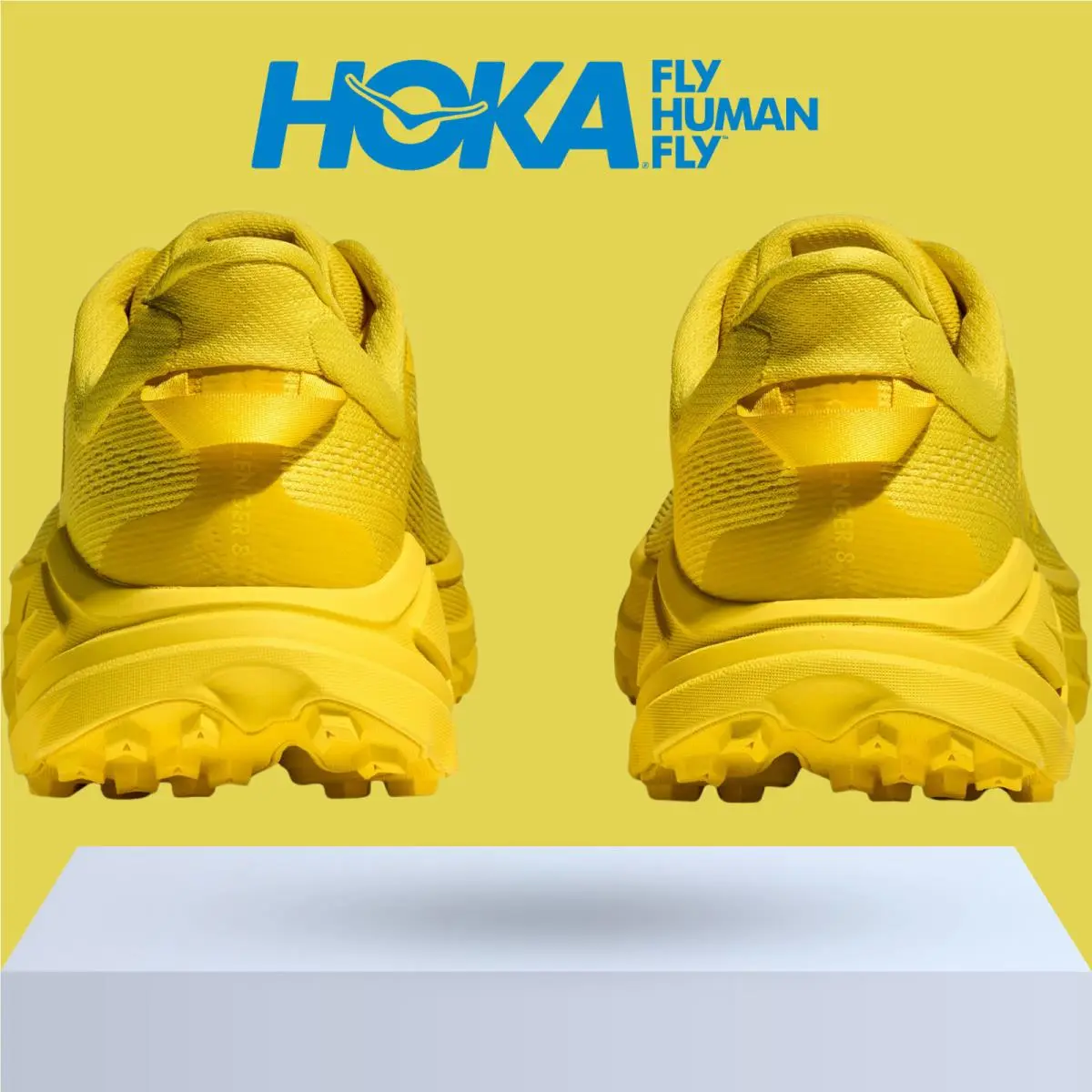 Hoka shoes - Hoka One One Challenger 8 - Black/Outer Orbit 36