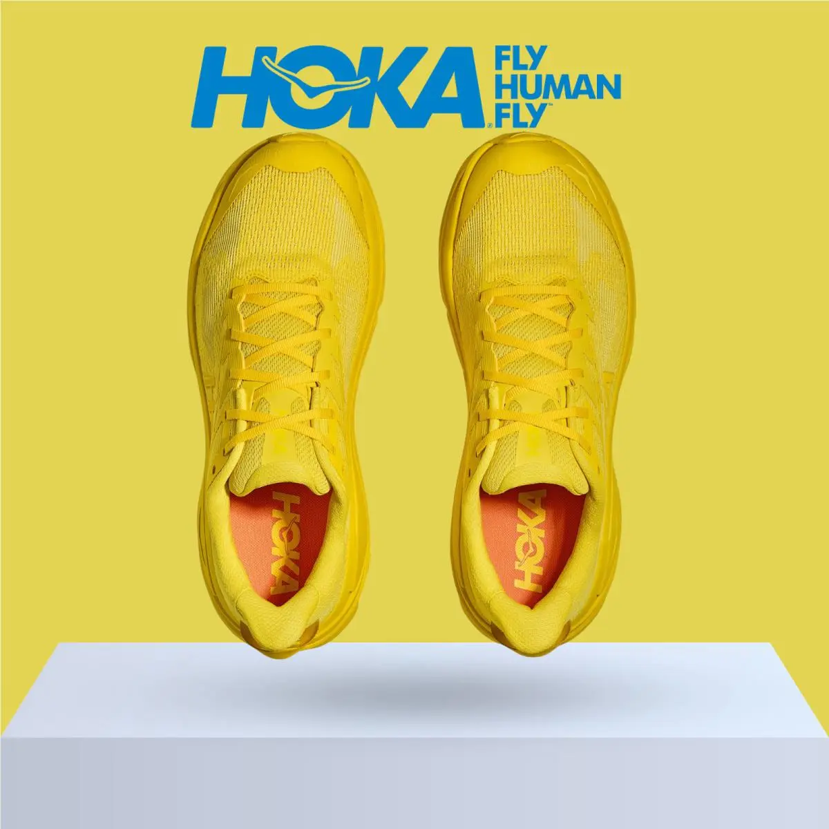 Hoka shoes - Hoka One One Challenger 8 - Black/Outer Orbit 37
