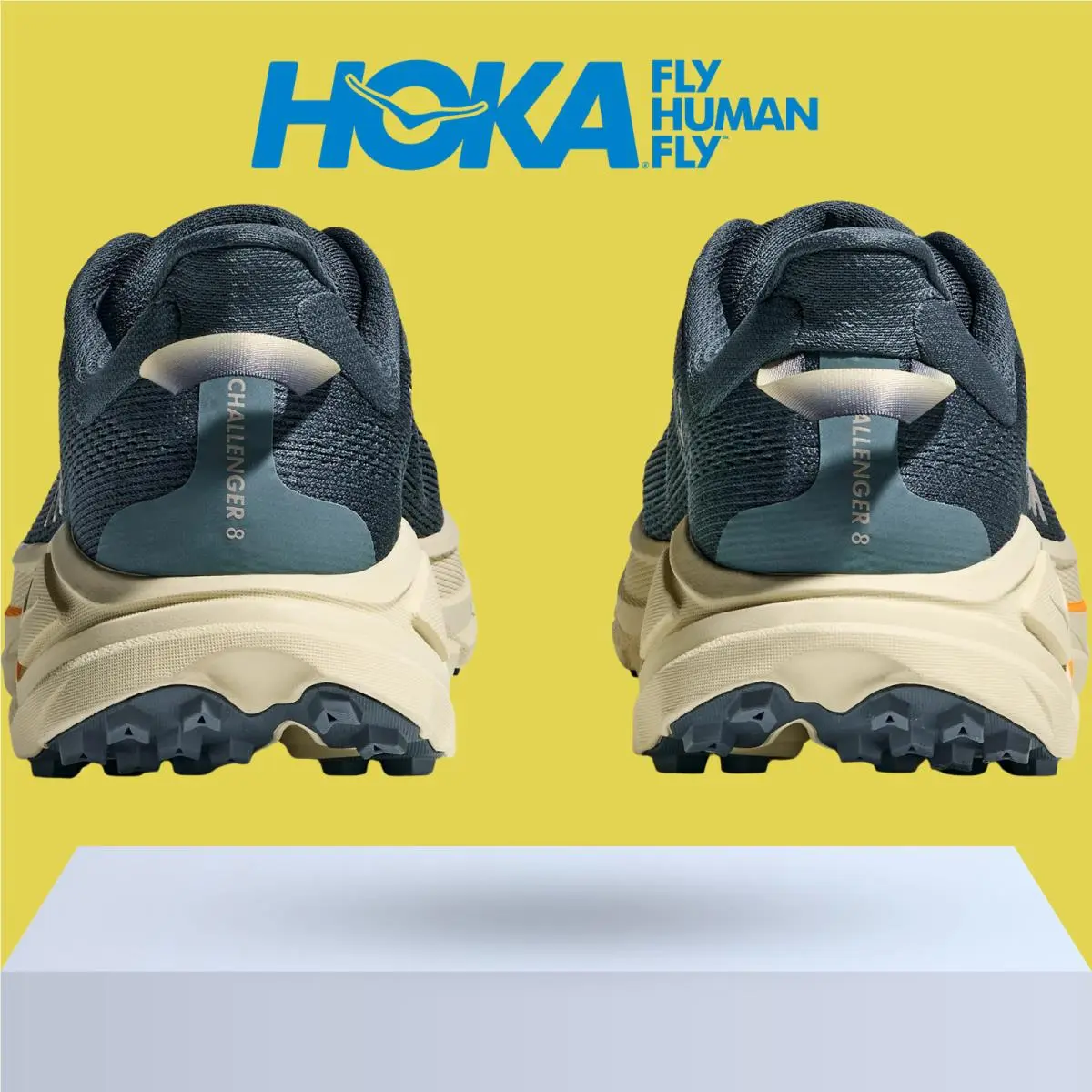 Hoka shoes - Hoka One One Challenger 8 - Black/Outer Orbit 26