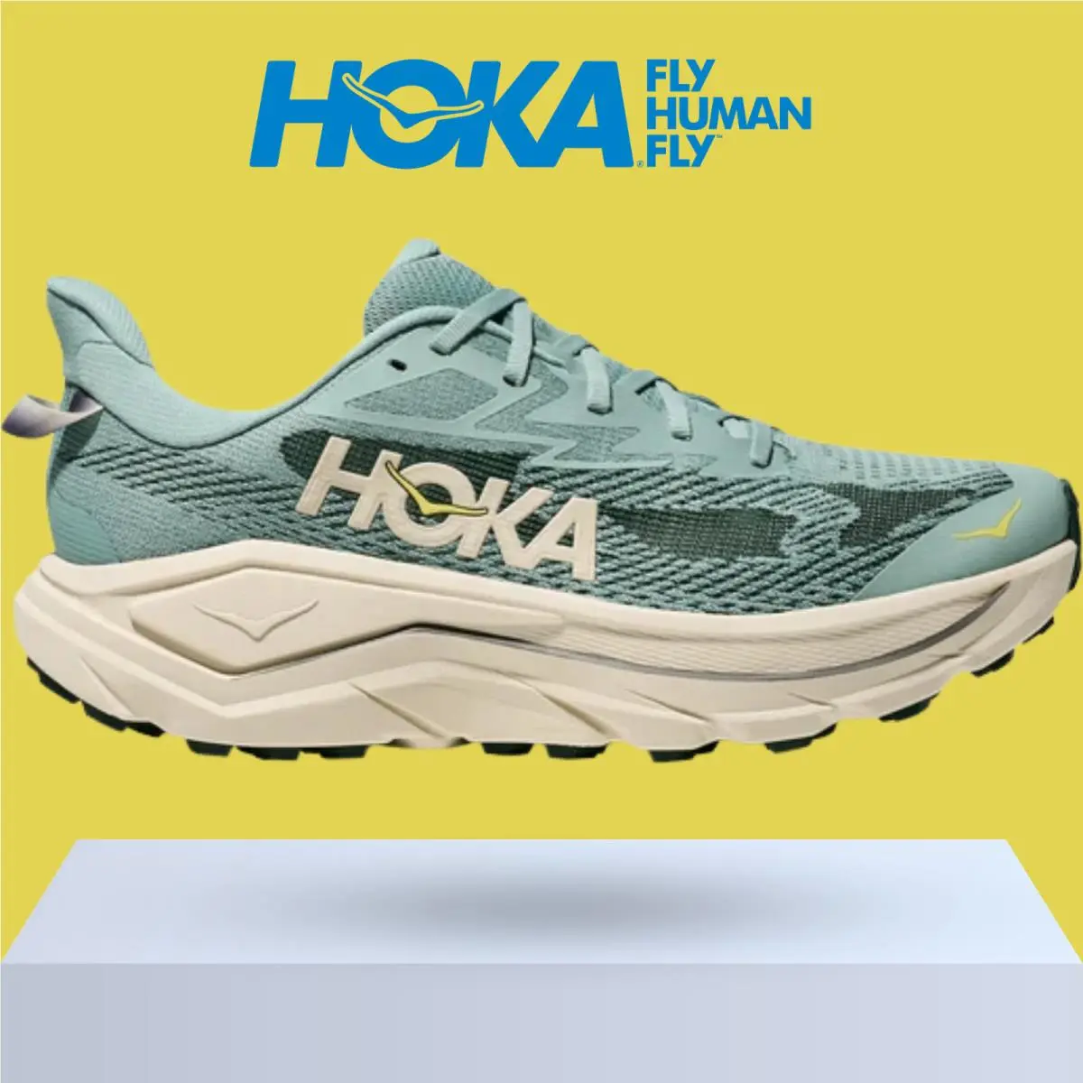 Hoka shoes - Hoka One One Challenger 8 - Black/Outer Orbit 44