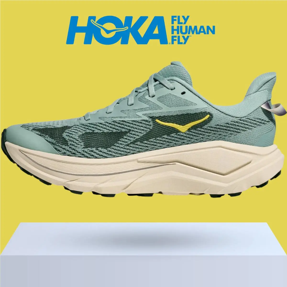 Hoka shoes - Hoka One One Challenger 8 - Black/Outer Orbit 45