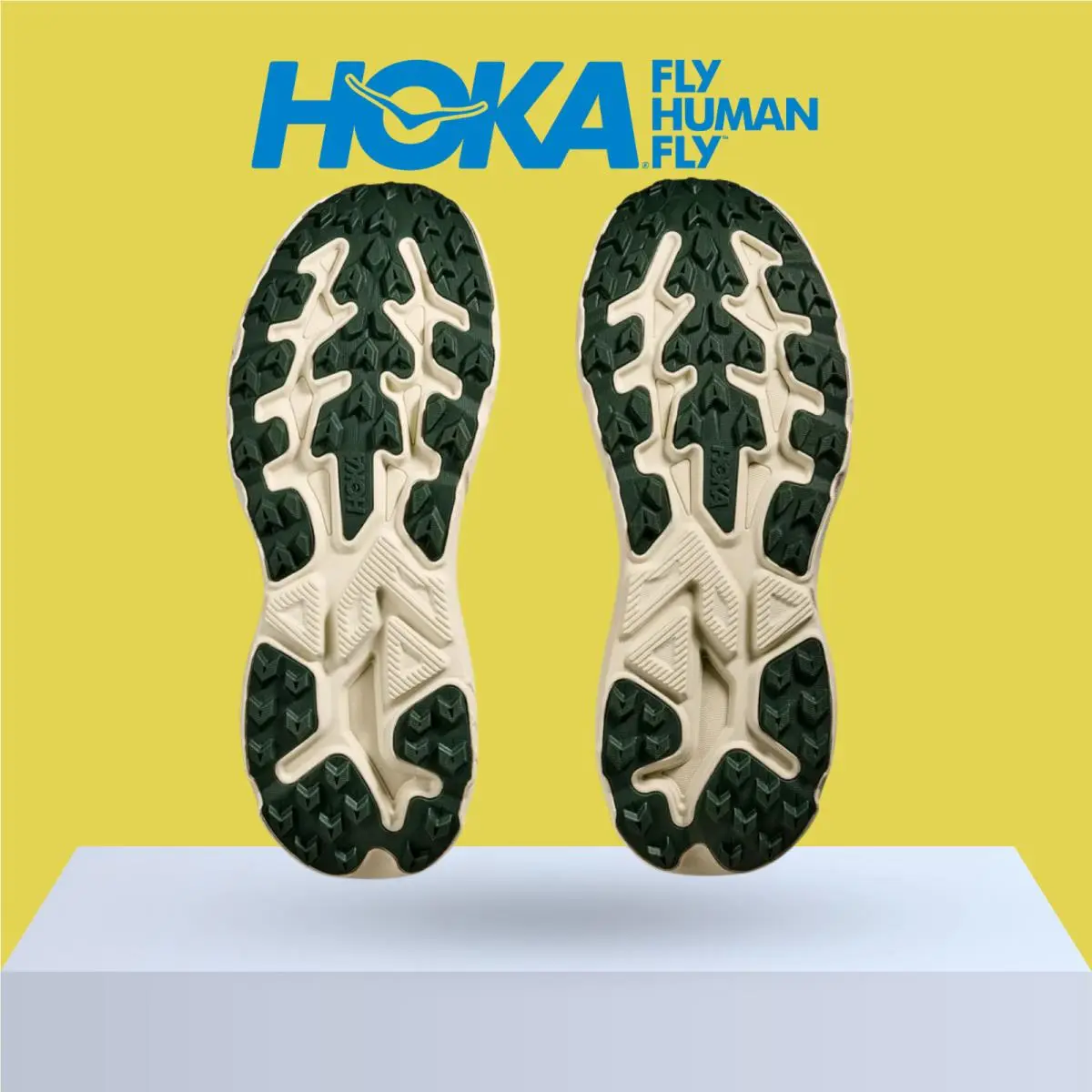 Hoka shoes - Hoka One One Challenger 8 - Black/Outer Orbit 48