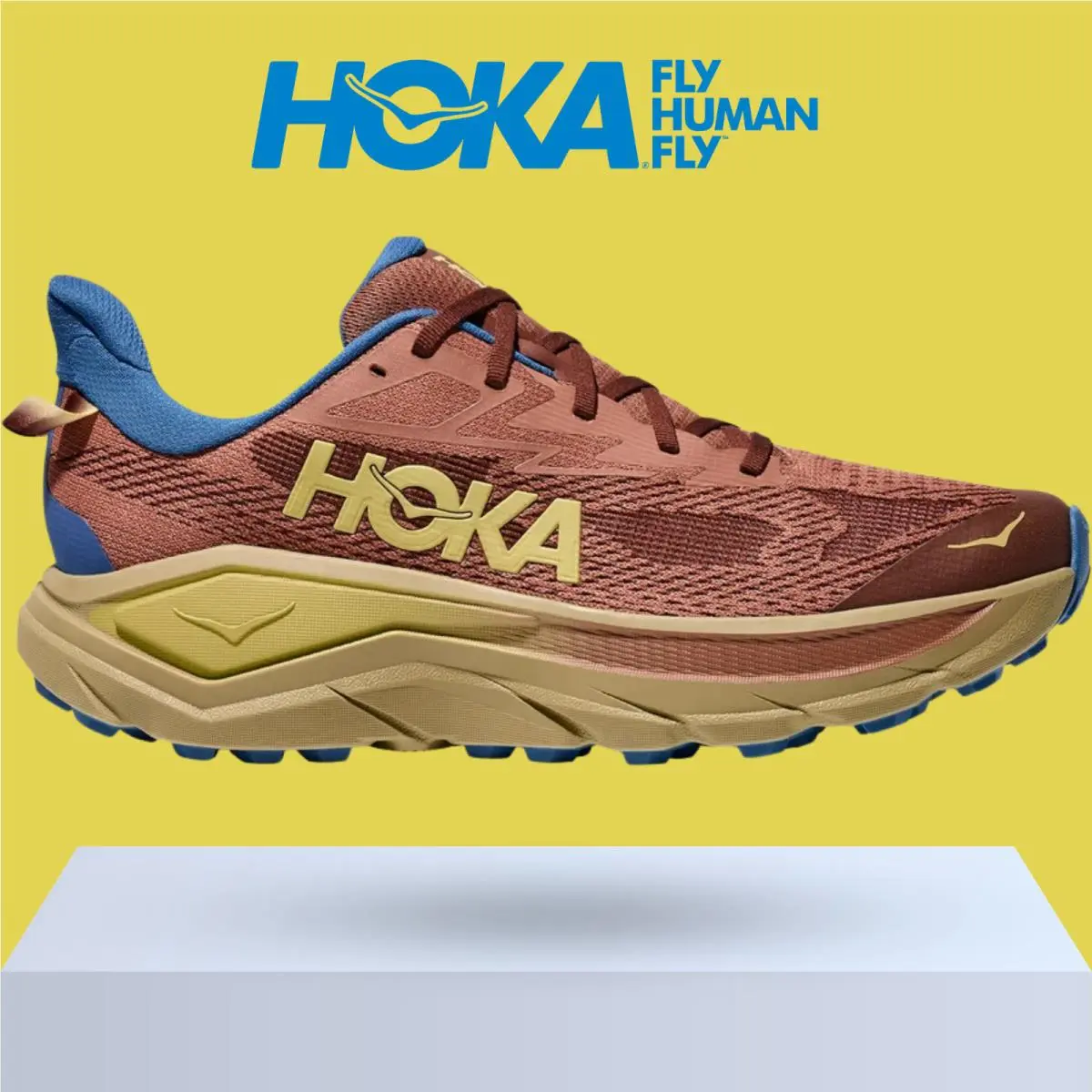Hoka shoes - Hoka One One Challenger 8 - Black/Outer Orbit 29