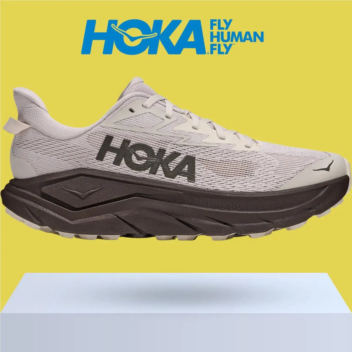 Hoka shoes - Hoka One One Challenger 8 - Black/Outer Orbit 49