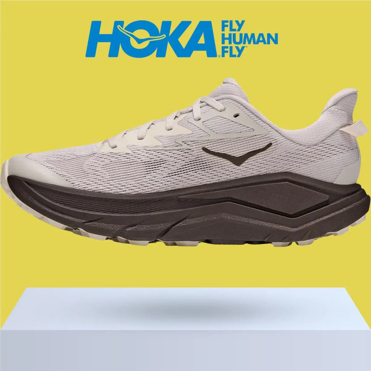 Hoka shoes - Hoka One One Challenger 8 - Black/Outer Orbit 50