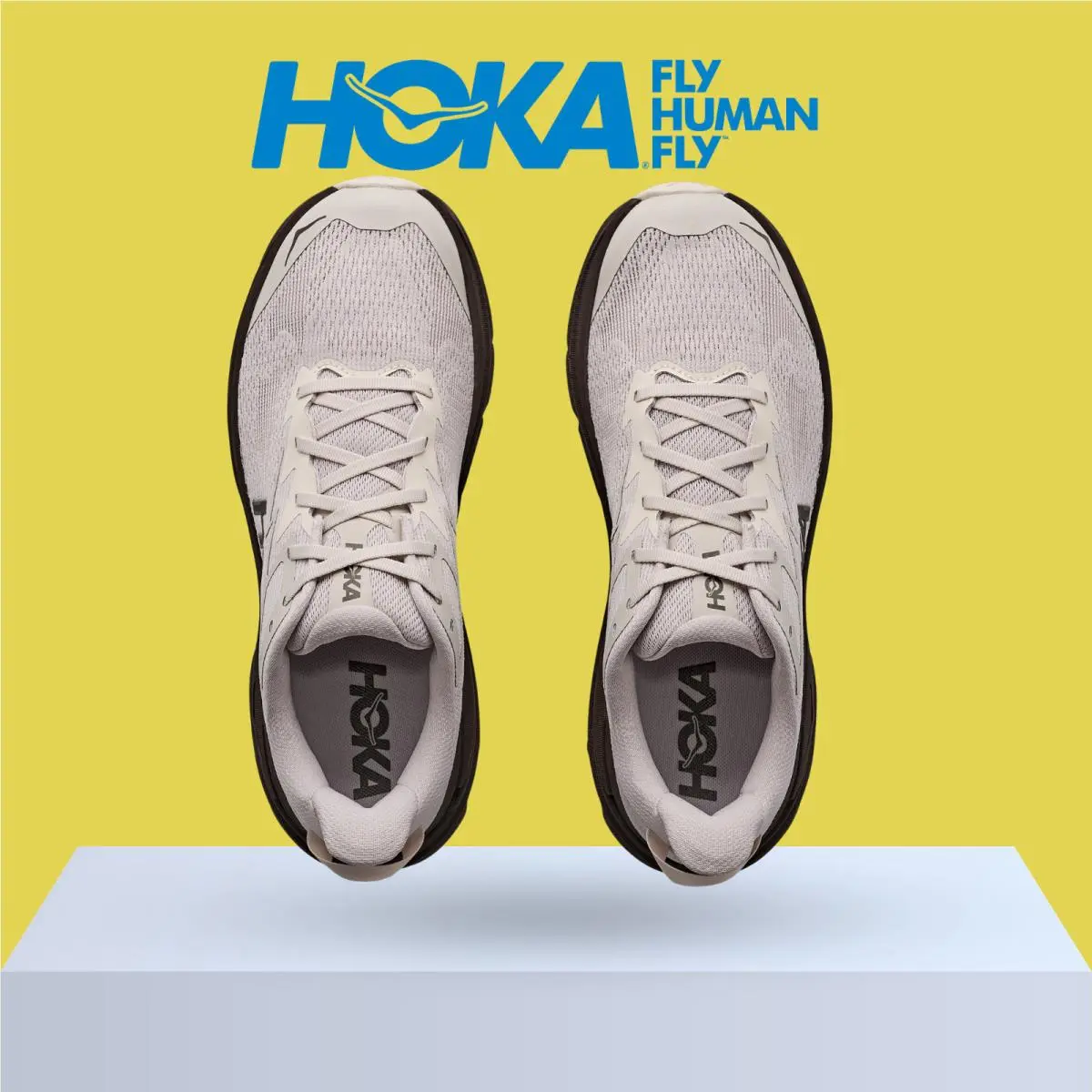 Hoka shoes - Hoka One One Challenger 8 - Black/Outer Orbit 52