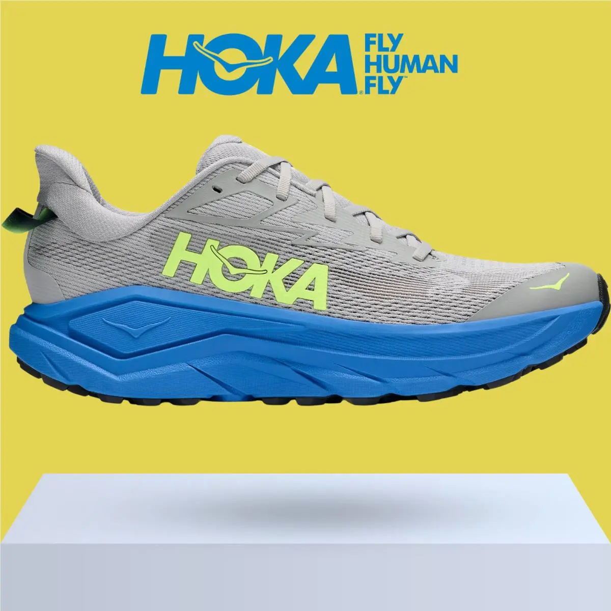 Hoka shoes - Hoka One One Challenger 8 - Black/Outer Orbit 19
