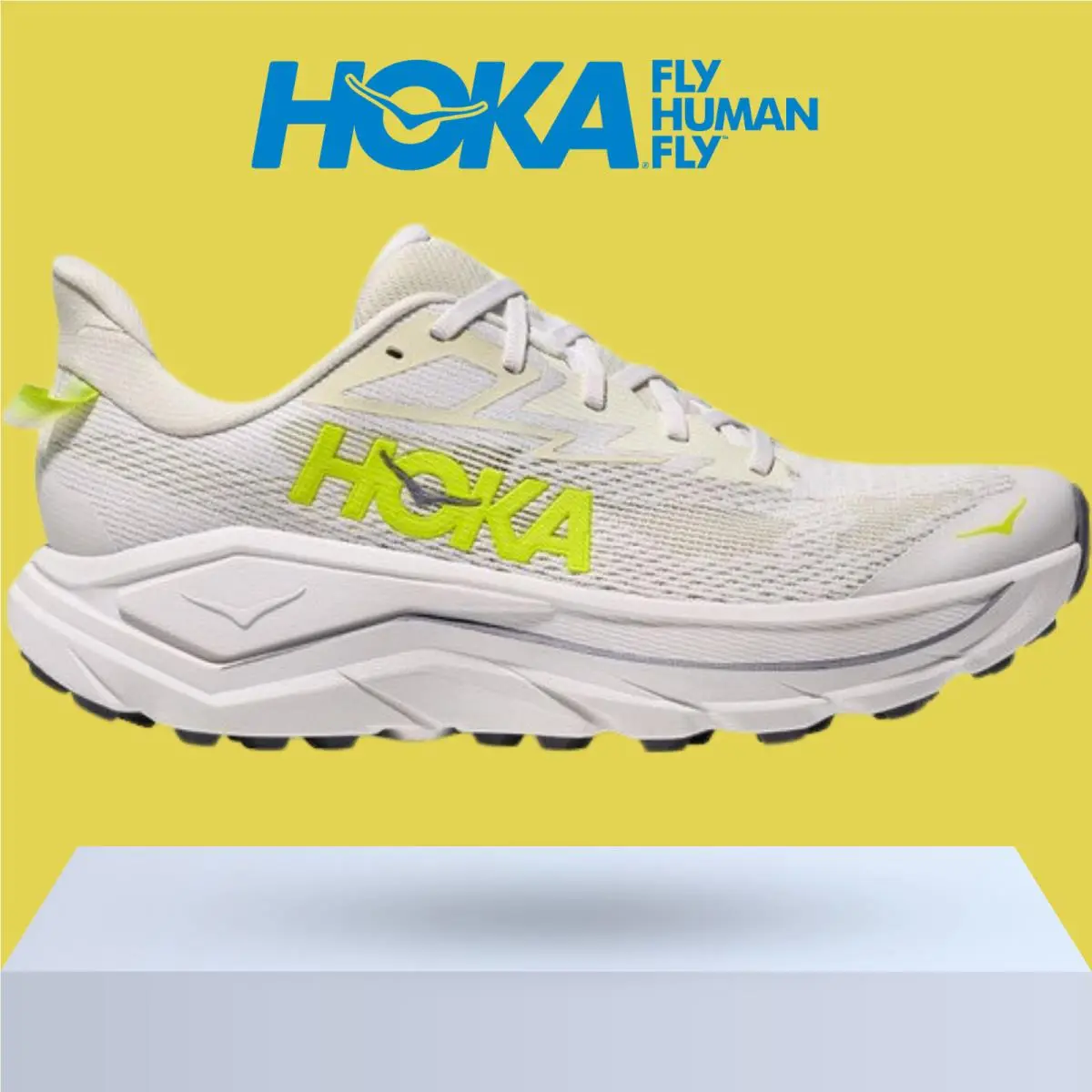 Hoka shoes - Hoka One One Challenger 8 - Black/Outer Orbit 54