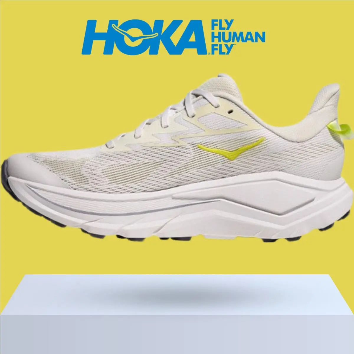 Hoka shoes - Hoka One One Challenger 8 - Black/Outer Orbit 55