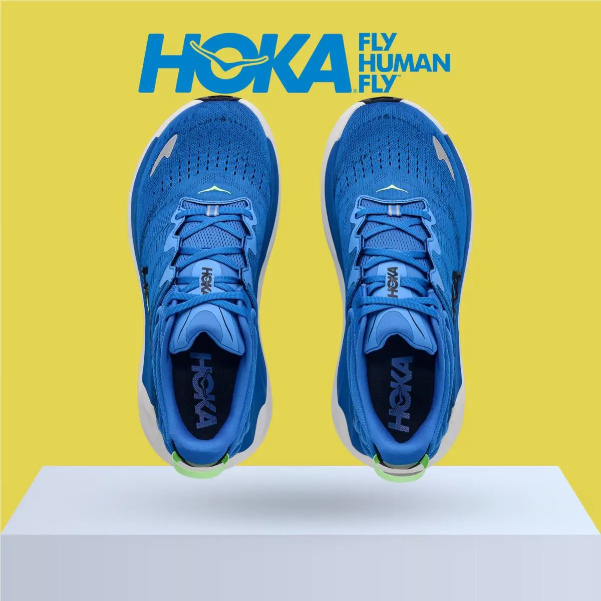 Hoka shoes - Hoka One One Gaviota 6 - Baby Kale/Nettle Leaf 32