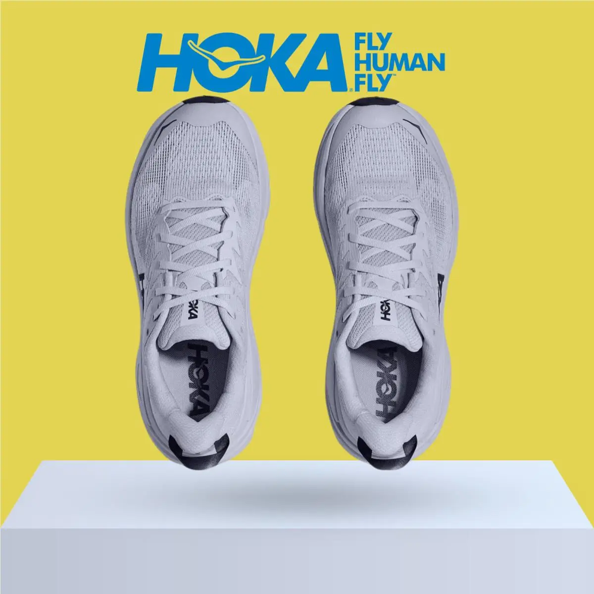 Hoka shoes - Hoka One One Challenger 8 - Ambient Blue/Blueberry 2