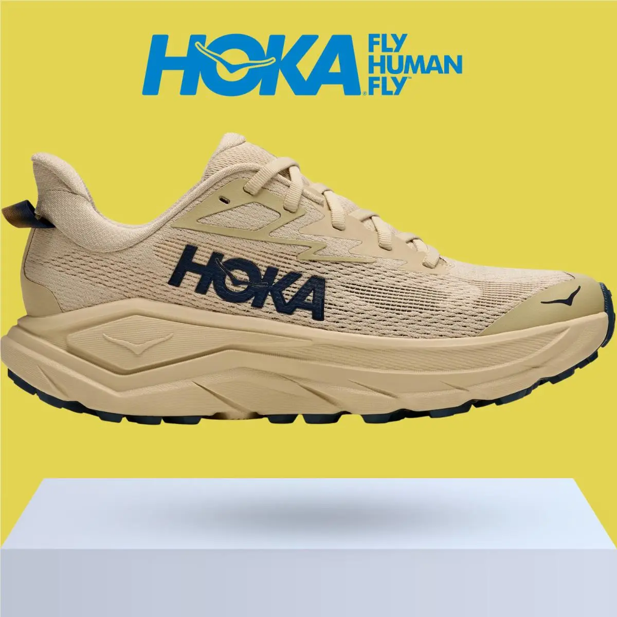 Hoka shoes - Hoka One One Challenger 8 - Ambient Blue/Blueberry 9