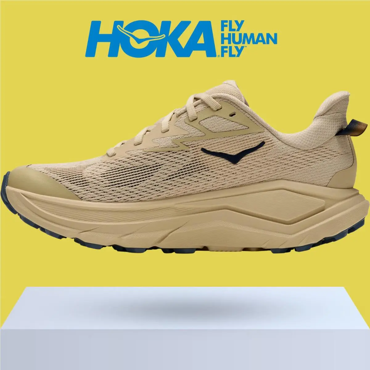 Hoka shoes - Hoka One One Challenger 8 - Ambient Blue/Blueberry 10