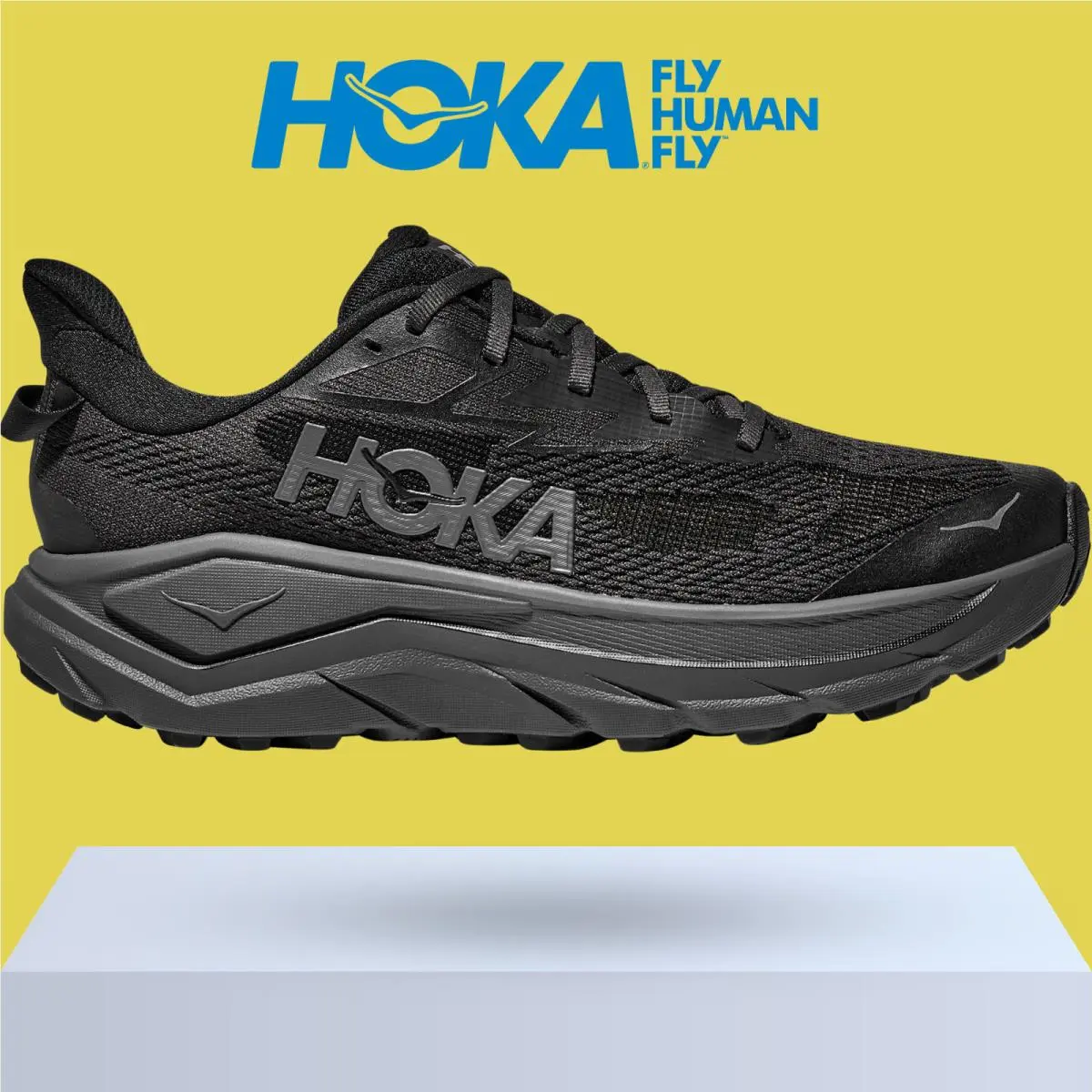 Hoka shoes - Hoka One One Challenger 8 - Ambient Blue/Blueberry 14