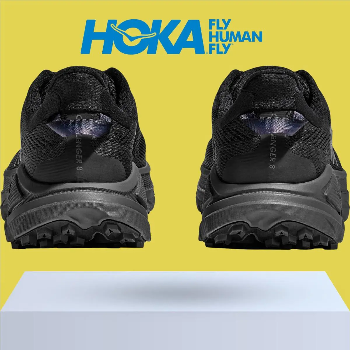 Hoka shoes - Hoka One One Challenger 8 - Ambient Blue/Blueberry 16