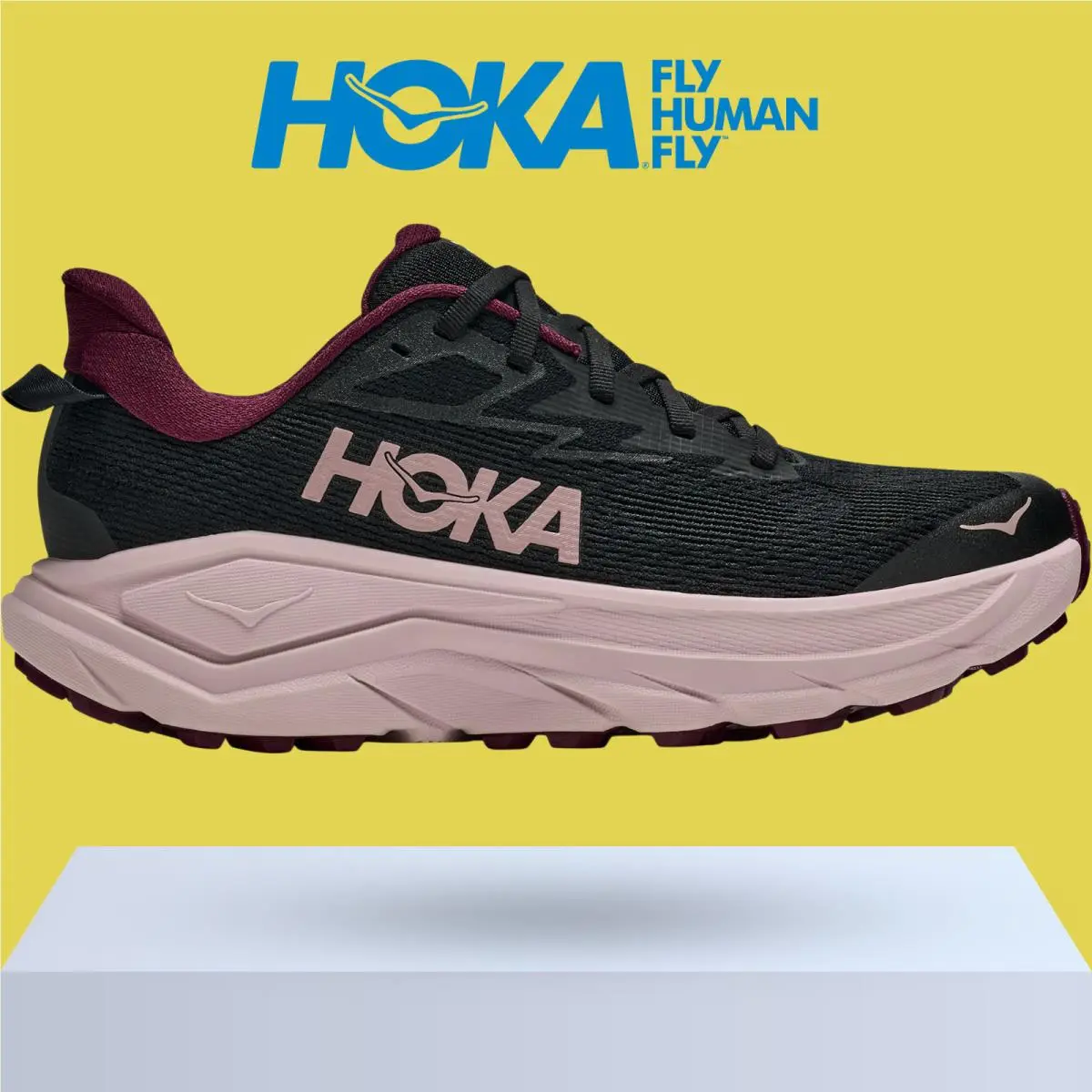 Hoka shoes - Hoka One One Challenger 8 - Ambient Blue/Blueberry 19