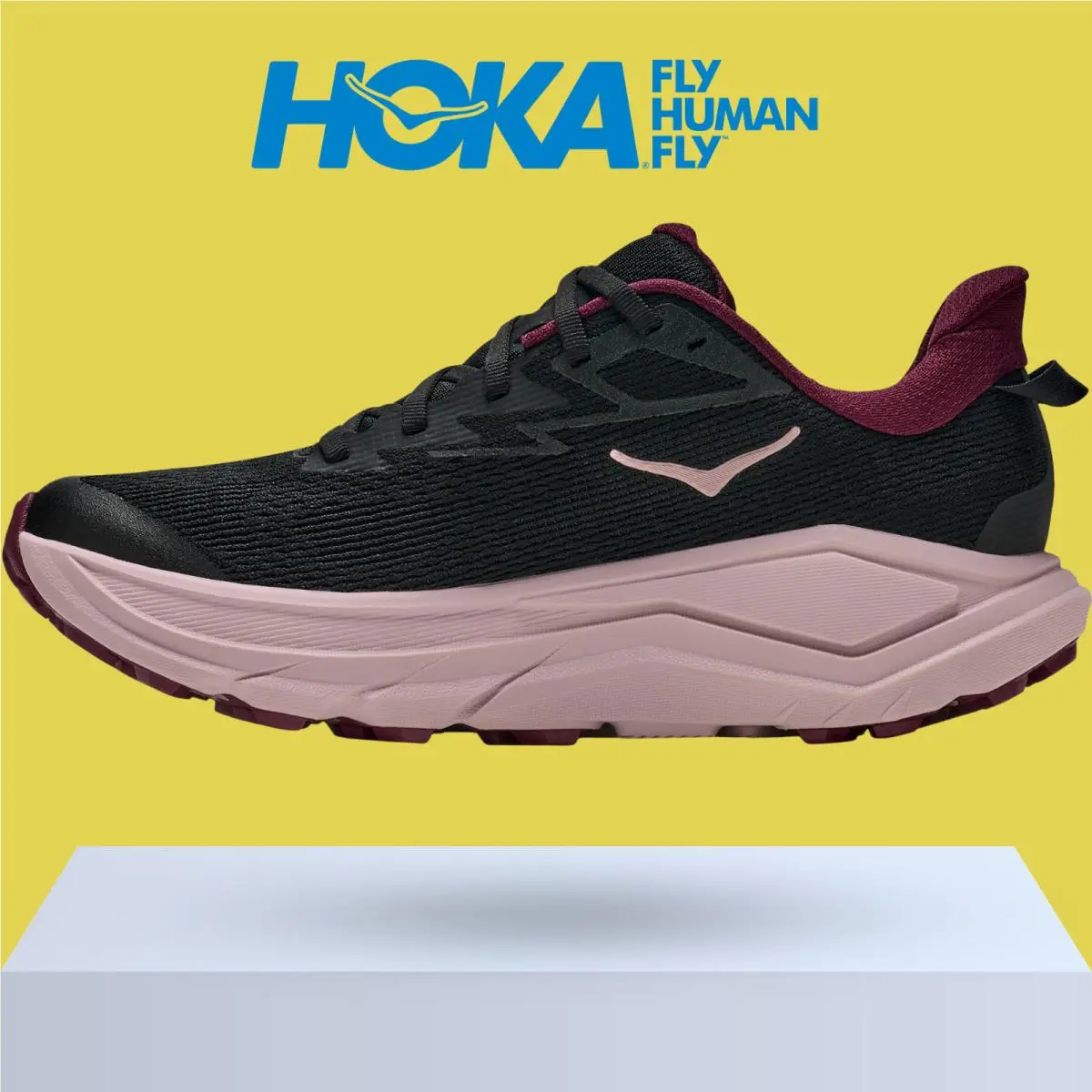 Hoka shoes - Hoka One One Challenger 8 - Ambient Blue/Blueberry 20