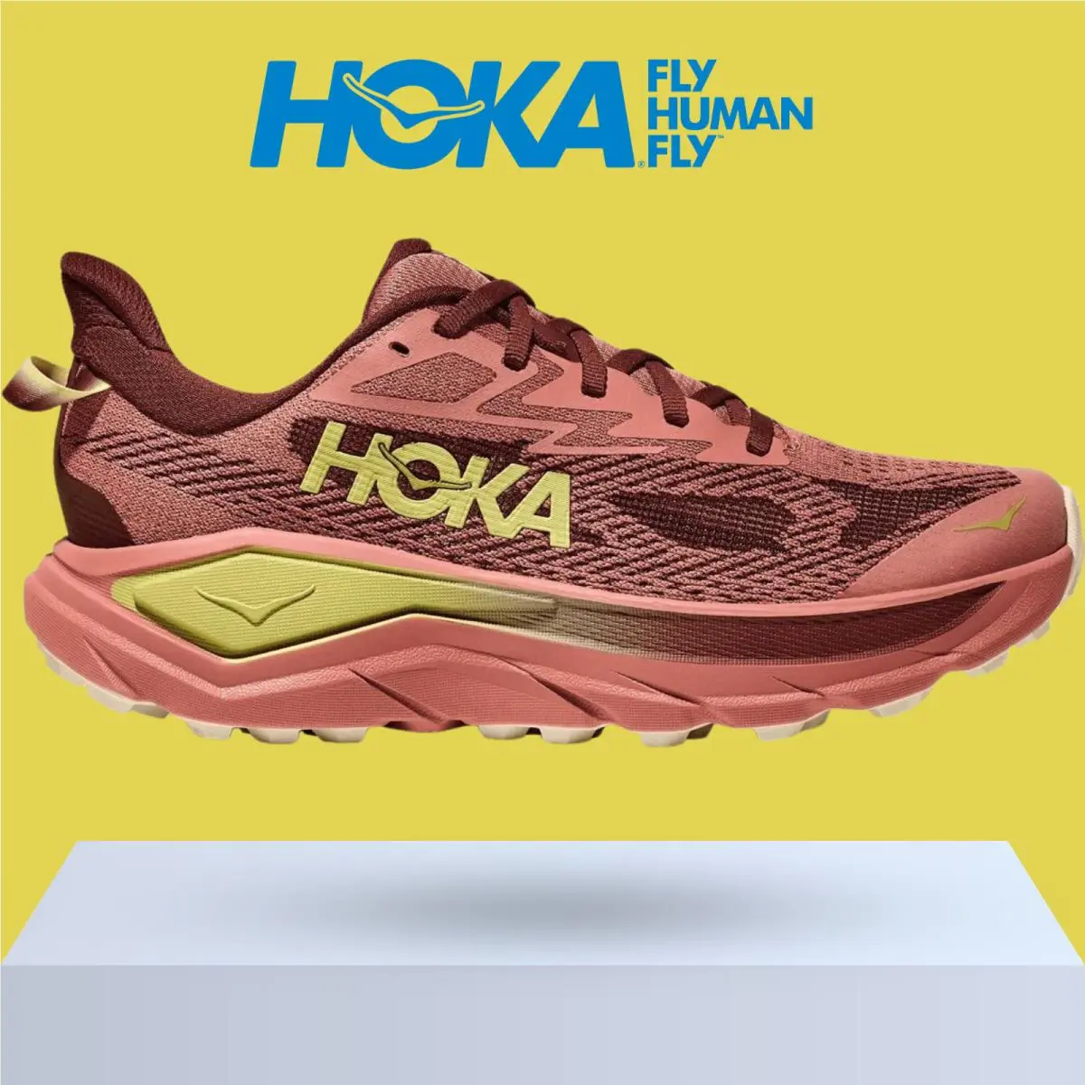 Hoka shoes - Hoka One One Challenger 8 - Ambient Blue/Blueberry 24