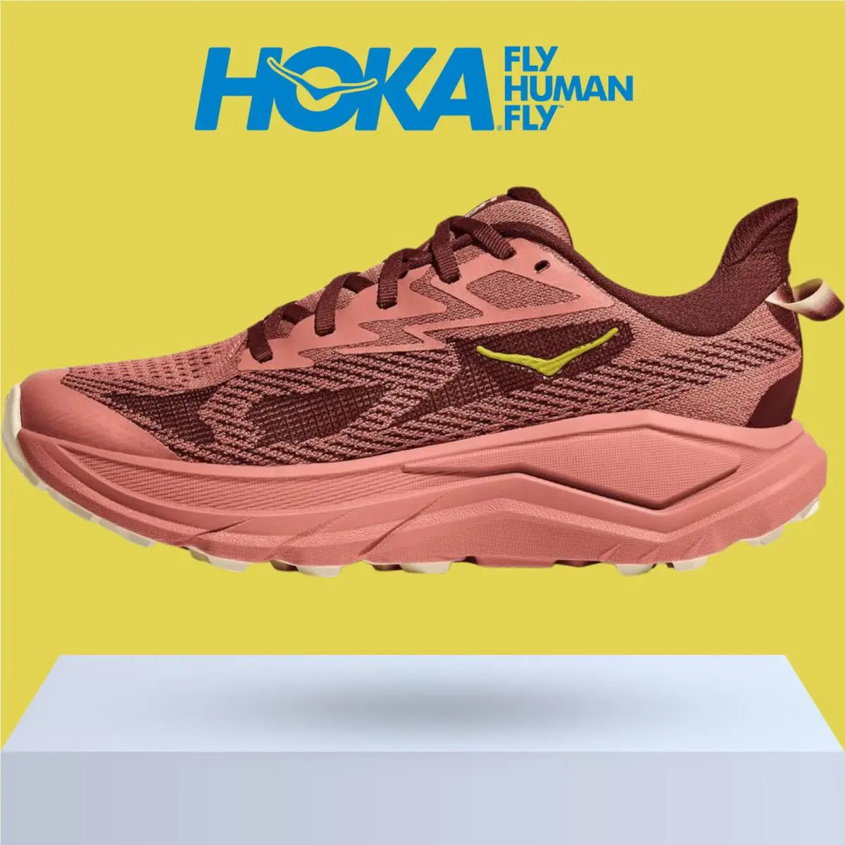 Hoka shoes - Hoka One One Challenger 8 - Ambient Blue/Blueberry 25