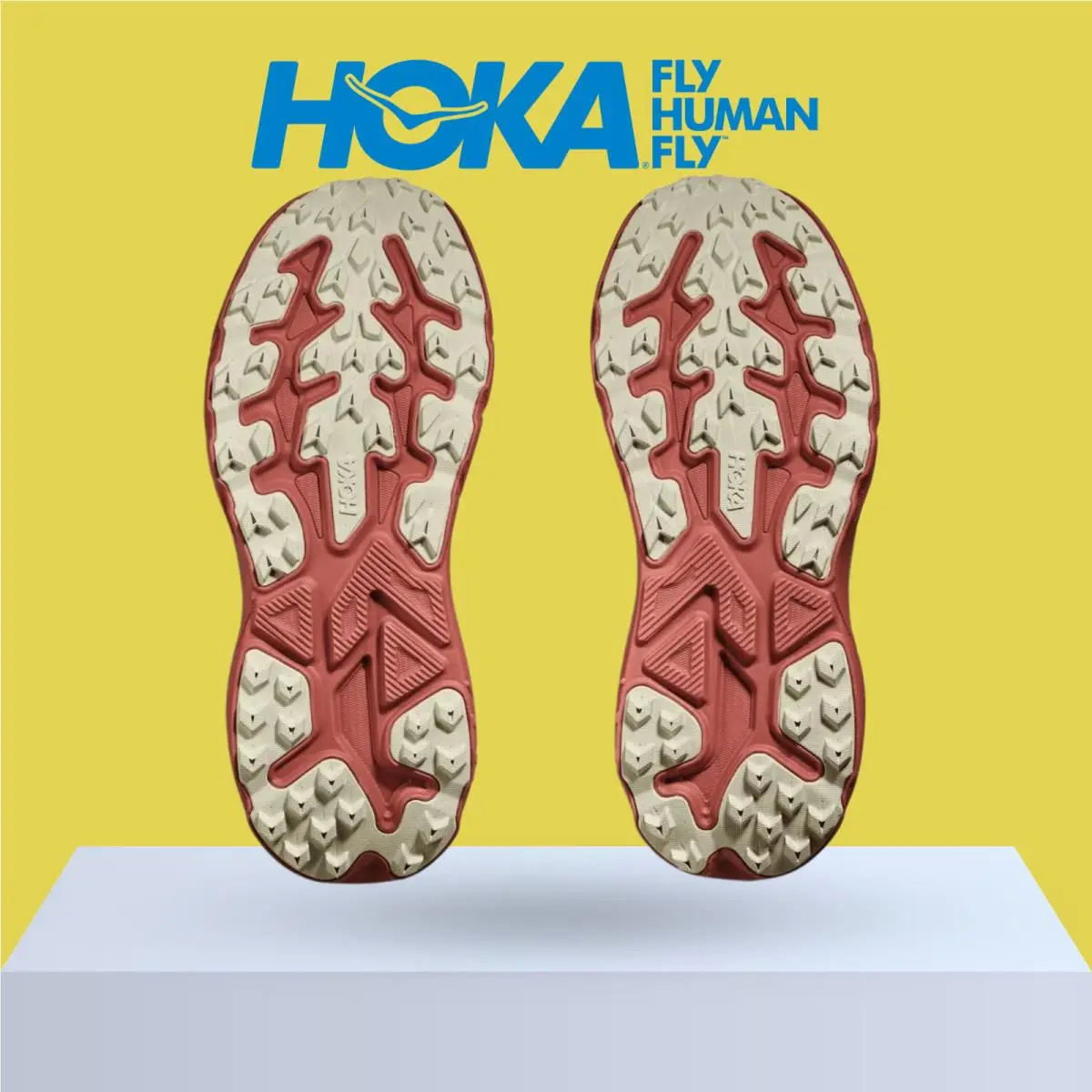 Hoka shoes - Hoka One One Challenger 8 - Ambient Blue/Blueberry 28