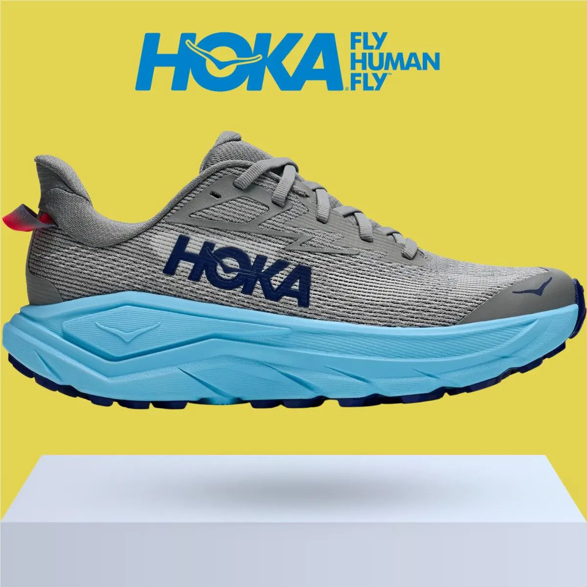 Hoka shoes - Hoka One One Challenger 8 - Ambient Blue/Blueberry 29
