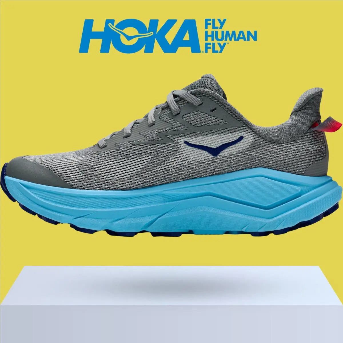 Hoka shoes - Hoka One One Challenger 8 - Ambient Blue/Blueberry 30