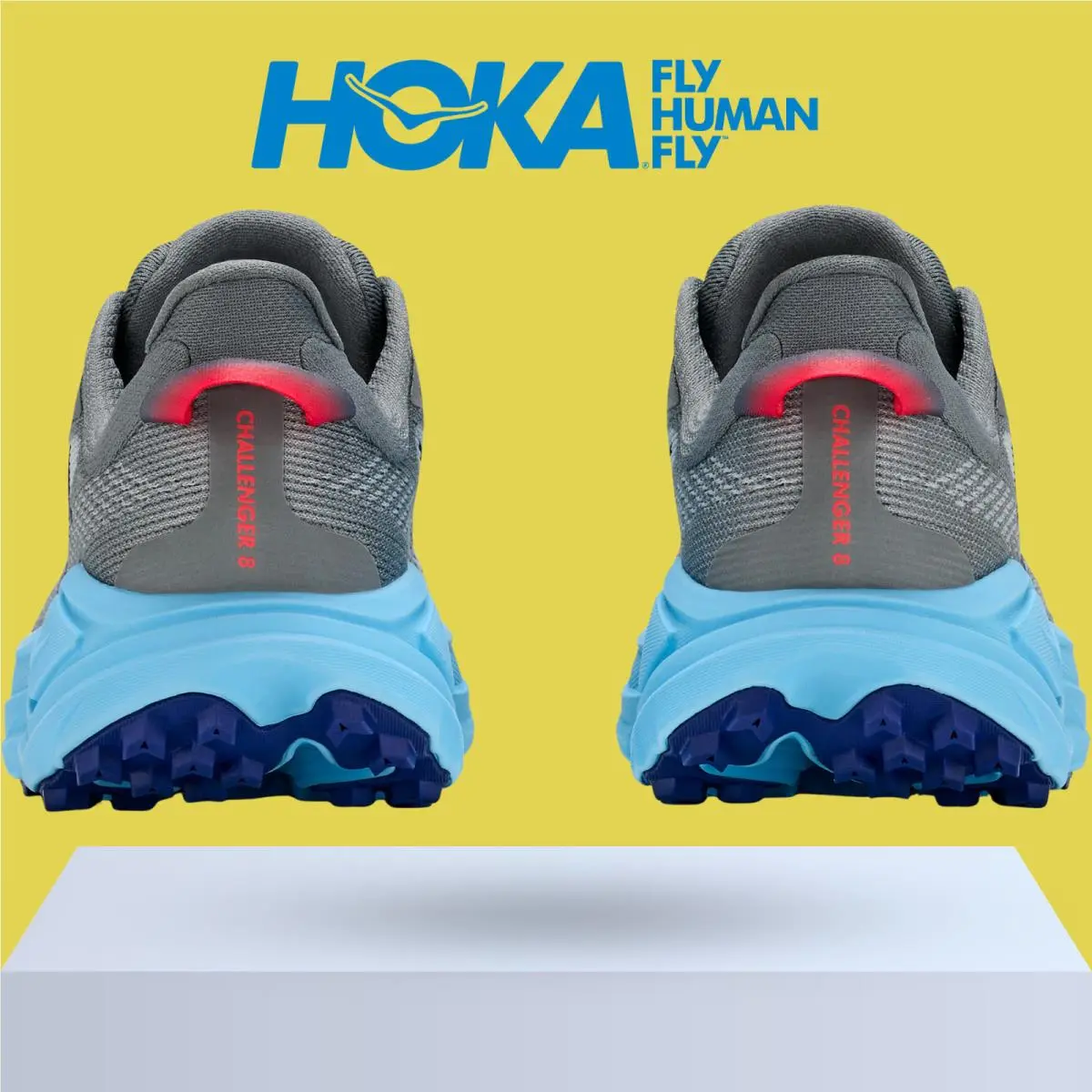 Hoka shoes - Hoka One One Challenger 8 - Ambient Blue/Blueberry 31