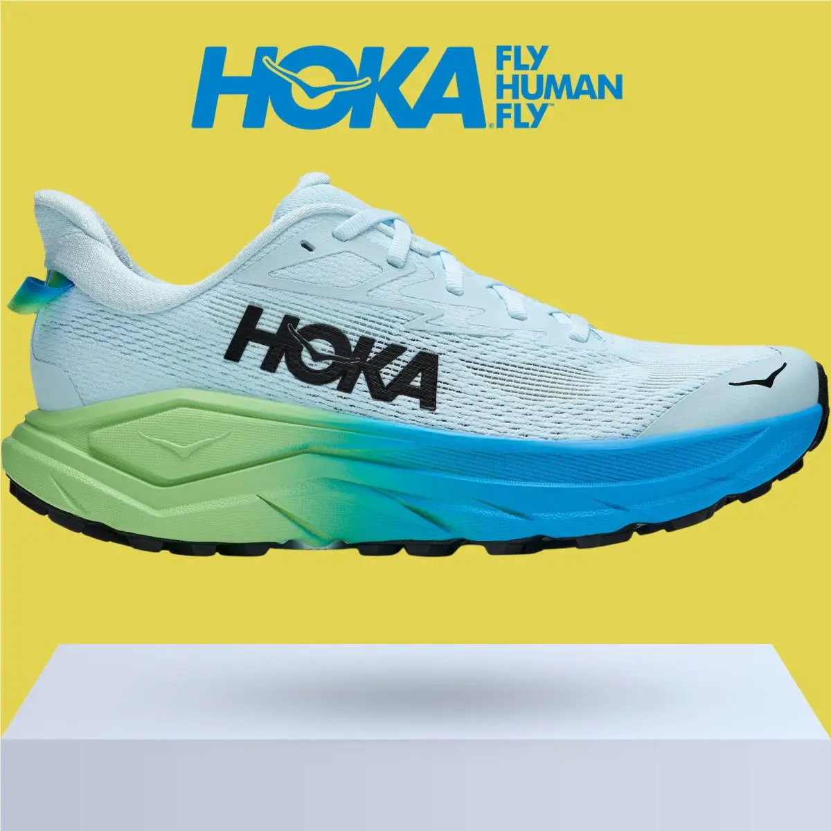 Hoka shoes - Hoka One One Challenger 8 - Ambient Blue/Blueberry 34